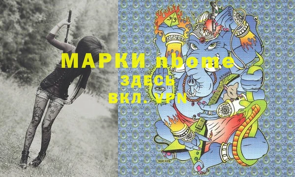 крисы Баксан