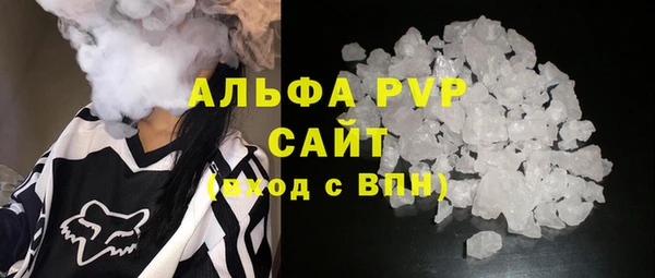 крисы Баксан