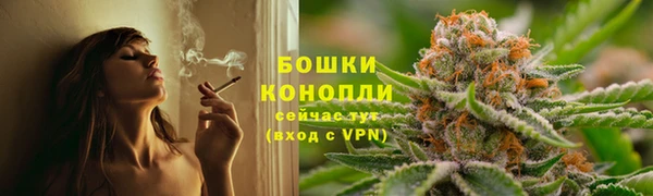крисы Баксан