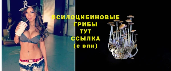 крисы Баксан