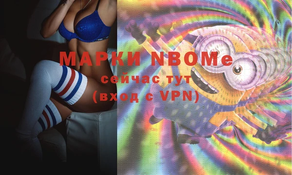 крисы Баксан