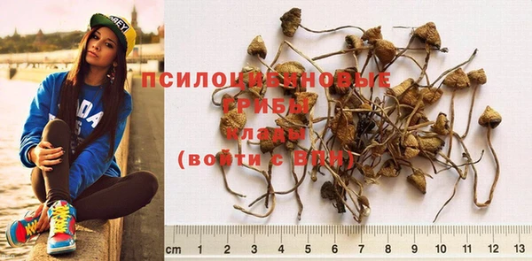шишки Балабаново