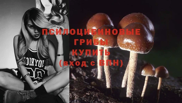 крисы Баксан