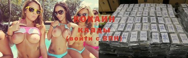крисы Баксан