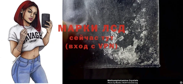 крисы Баксан
