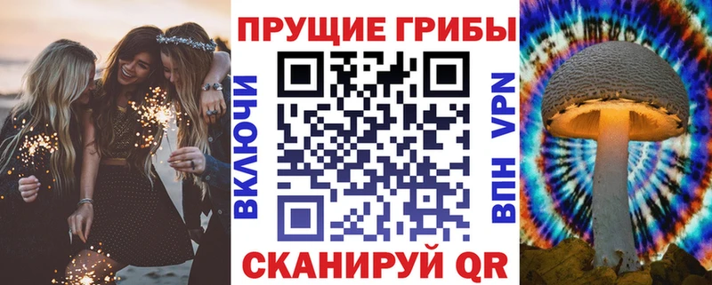 Псилоцибиновые грибы мицелий  Онега 